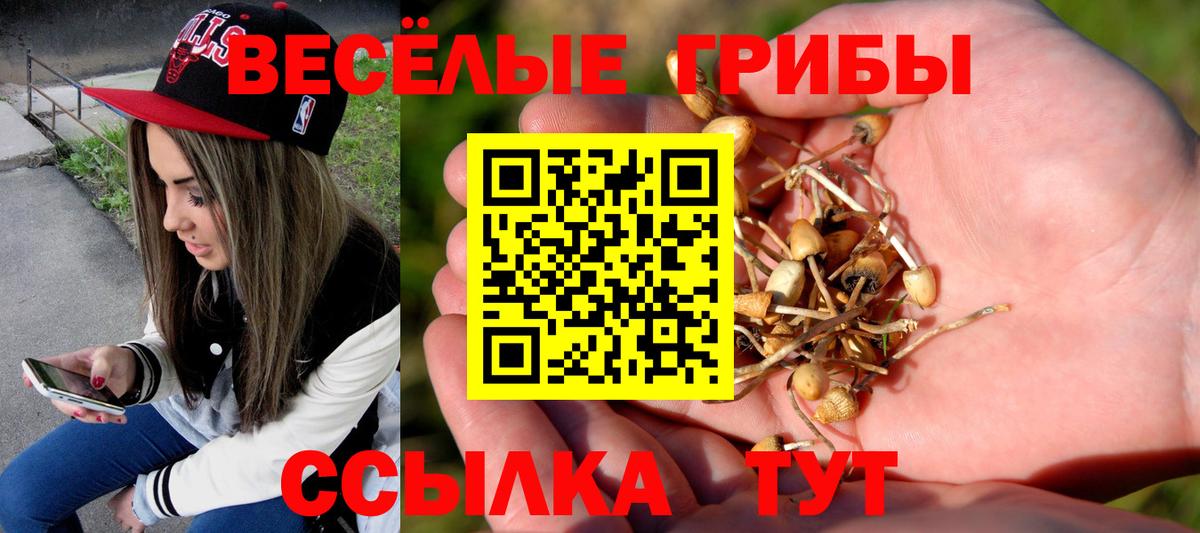 Псилоцибиновые грибы ЛСД Калининград