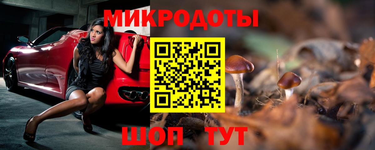 Калининград  Галлюциногенные грибы Psilocybe  Вход с VPN 