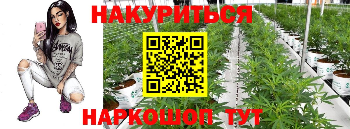 Каннабис OG Kush  МАРИХУАНА THC 21%  Вход с VPN  Шишки марихуана VHQ  Калининград 
